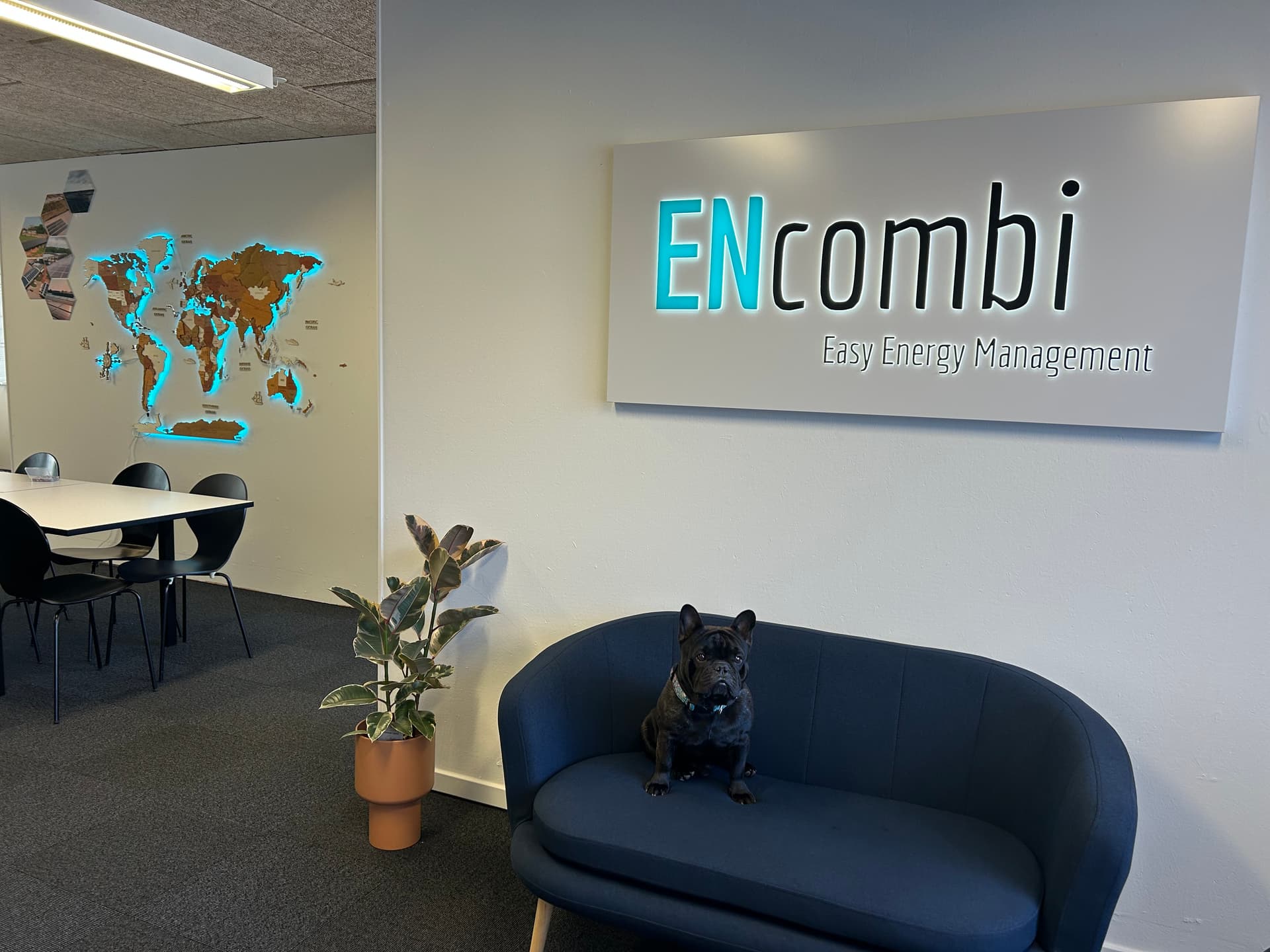 ENcombi workspace, office interior